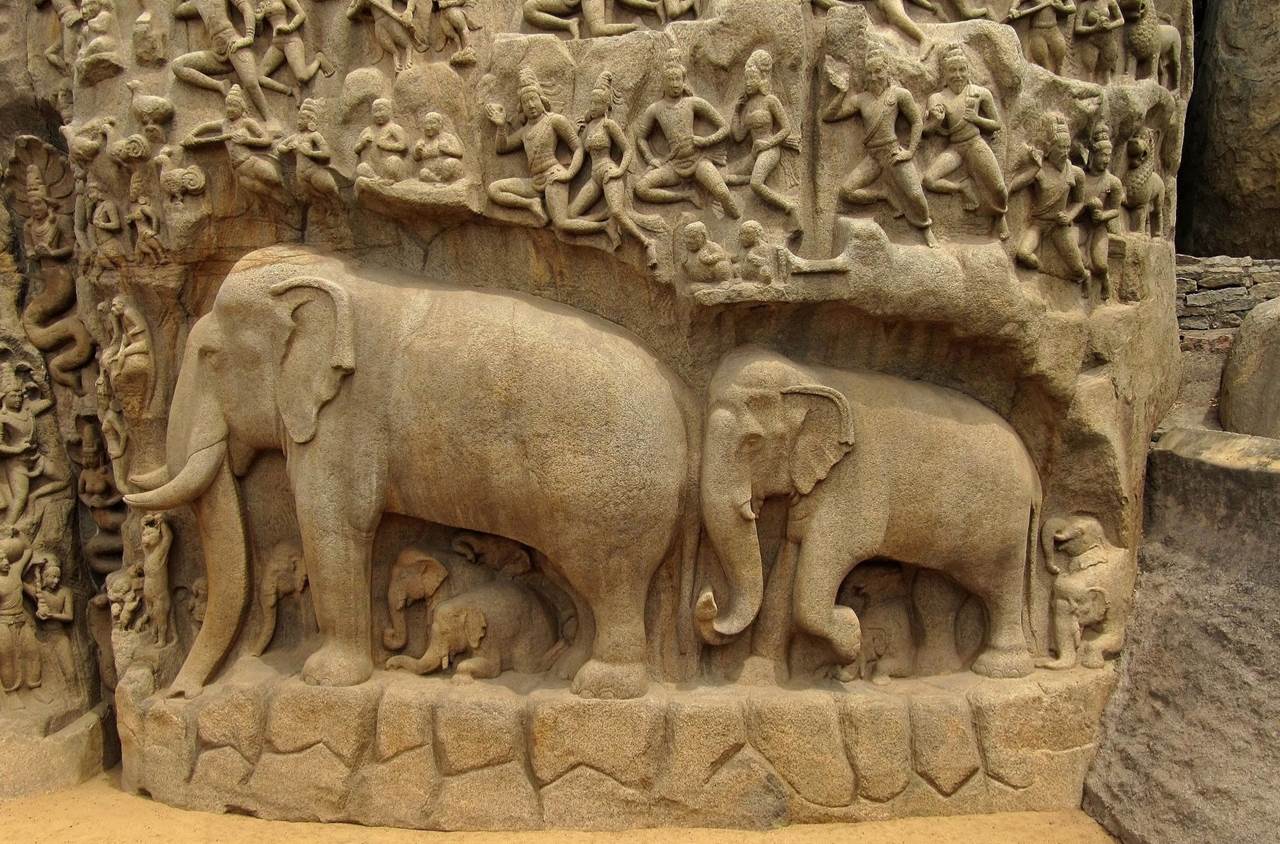 elephants