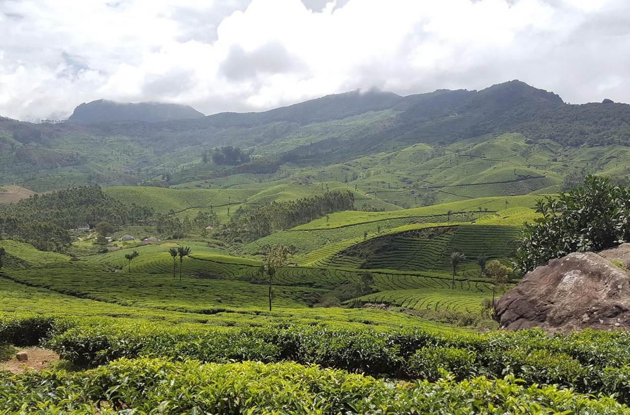 munnar