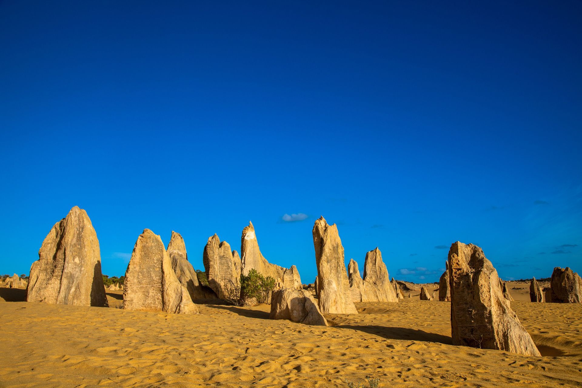 deserto dei pinnacoli